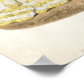 Fashion-Platte mit Ballgwns Poster (Ecke)