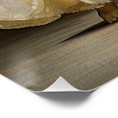 Fashion Show, Golden Retriever Dog 01 - Jonathan B Poster (Ecke)