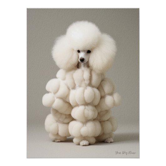 Fashion Show, Poodle Dog 02 - Jonathan Bonheur Poster (Vorderseite)