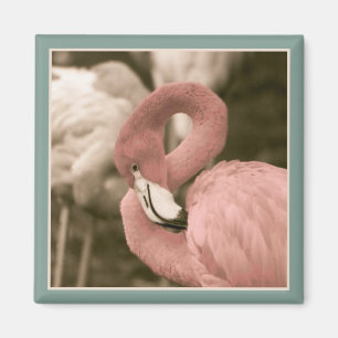 Fashionable Flamingo Magnet