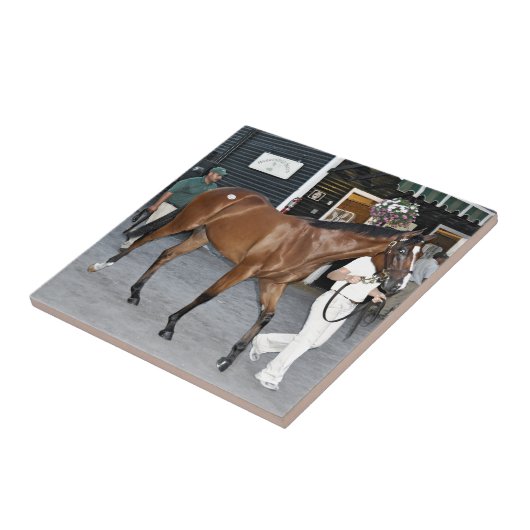 Fasig Tipton ausgewählte Verkäufe bei Saratoga Fliese (Seite)