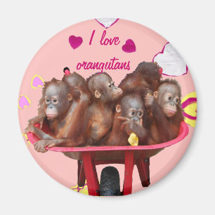 Fass Affe-Orang-Utan Babys Magnet