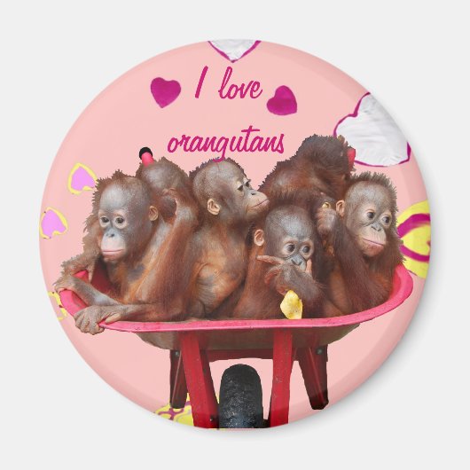 Fass Affe-Orang-Utan Babys Magnet (Vorne)