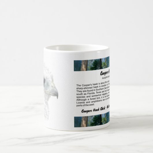 Fassbinder-Falke-Küken Kaffeetasse (Mittel)