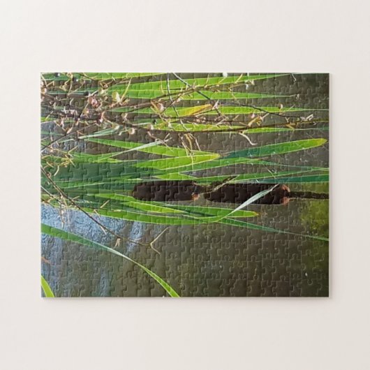 Fässer am Fluss Puzzle (Horizontal)