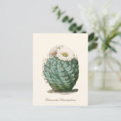 Fasskaktus Weiße Blume Postkarte (Stehend Vorderseite)