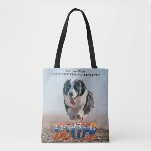 Fast Cat Fun Tasche (Vorderseite)
