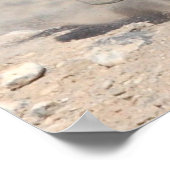 Fast & Furious Poster (Ecke)