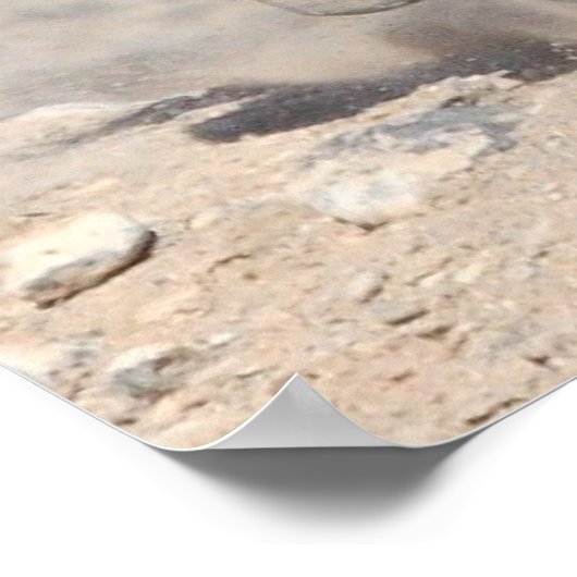 Fast & Furious Poster (Ecke)