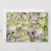 Fast Pink Hydrangea Blumenpost Hochzeitsfeier Einladung (Rückseite)