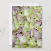 Fast Pink Hydrangea Post Wedding Brunch Einladung (Rückseite)