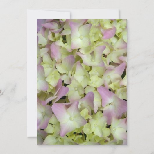 Fast Pink Hydrangea Post Wedding Brunch Einladung (Rückseite)