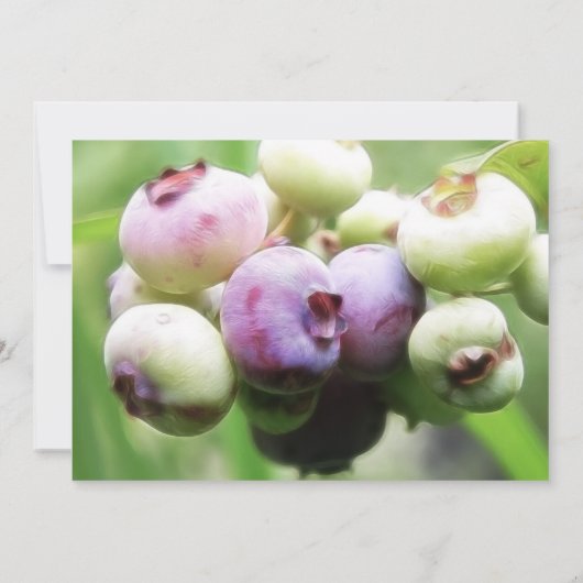 Fast reif - Blaubeeren Einladung (Rückseite)