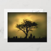 Fast Sunset Postkarte (Vorne/Hinten)