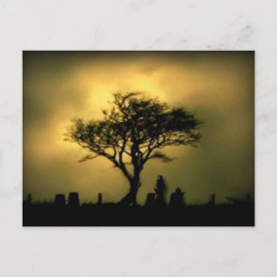 Fast Sunset Postkarte