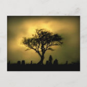 Fast Sunset Postkarte (Vorderseite)