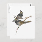 Fasziierter Honigfresser Postkarte (Vorne/Hinten)