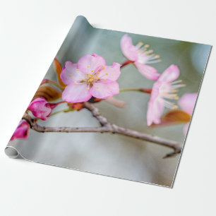 Faszination der Sakura-Blume Geschenkpapier