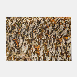 Faszination für Fungi Fußmatte