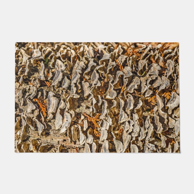 Faszination für Fungi Fußmatte (Vorderseite)