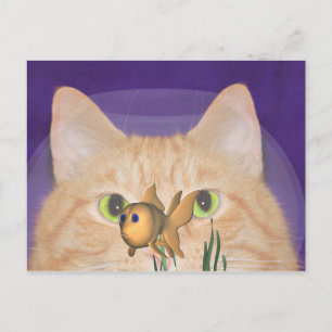 Faszination Postkarte