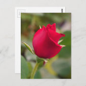 Faszination Postkarte (Vorne/Hinten)