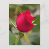 Faszination Postkarte (Vorderseite)