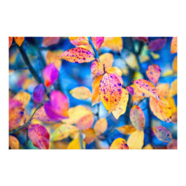 Faszinierende Blätter von Cotonou Fotodruck