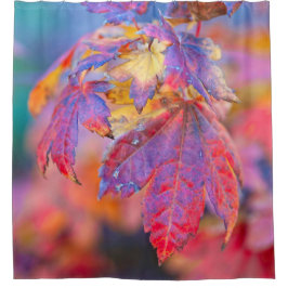 Faszinierende japanische AhornBlätter Duschvorhang