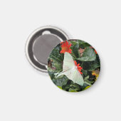 Faszinierende Luna Moth Magnet (Vorderseite/Rückseite)