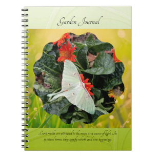 Faszinierende Luna Moth Notizblock