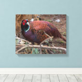 Faszinierende Naturfotografie Leinwanddruck (Insitu (Holzboden))