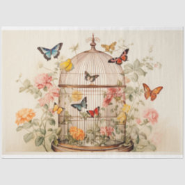 Faszinierende Schönheit: Entfärbung des Geburtszet Seidenpapier