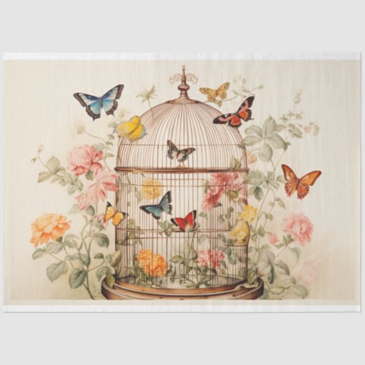 Faszinierende Schönheit: Entfärbung des Geburtszet Seidenpapier (Vorderseite)