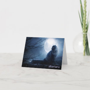 Faszinierende sibirische Katze an der Nachtzeit Karte