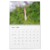 Faszinierender Insekten-Kalender Kalender (Mär 2026)
