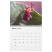 Faszinierender Insekten-Kalender Kalender (Feb 2027)