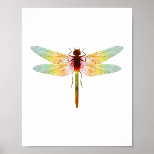 faszinierender zeichnetest einer Libelle Poster