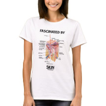 Fasziniert durch Haut (Haut-Schichten)