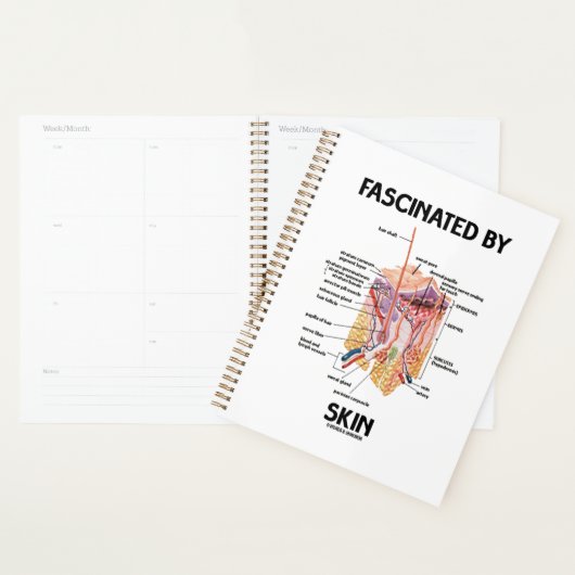 Fasziniert von der Haut (anatomische Hautschichten Planer (Anzeige)