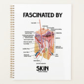 Fasziniert von der Haut (anatomische Hautschichten Planer (Vorderseite)