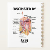 Fasziniert von der Haut (anatomische Hautschichten Planer (Rückseite)