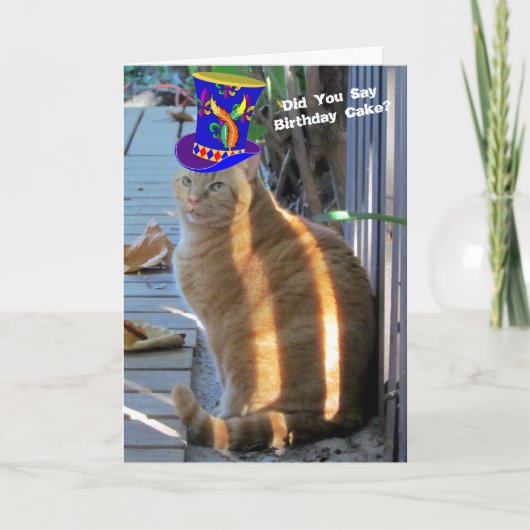 Fat Cat Funny Funny Flies Grußkarte Karte (Vorderseite)