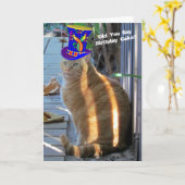 Fat Cat Funny Funny Flies Grußkarte Karte (Gelbe Blume)