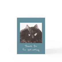 Fat Cat Pet-Sitter Vielen Dank