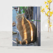 Fat Cat Sunny Daze :) Karte (Gelbe Blume)