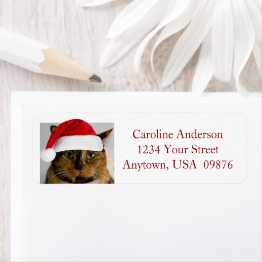 Fat Holiday Cat, Personalized Return Address (Insitu)