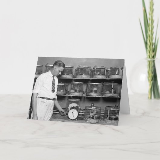 Fat Rat, 1920s Karte (Vorderseite)