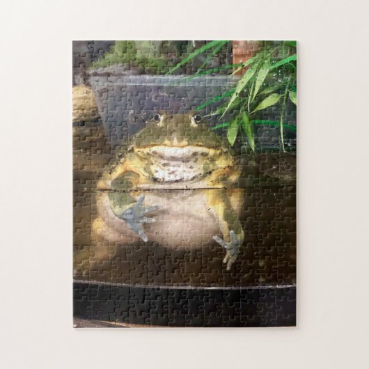 Fat Toad Todd Puzzle (Vertikal)