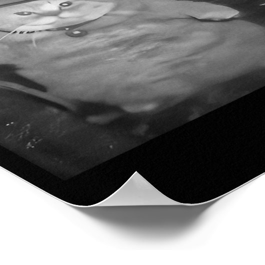 Fat Wizard Cat Fat Kitten Wizard Funny Cat Meme Br Poster (Ecke)